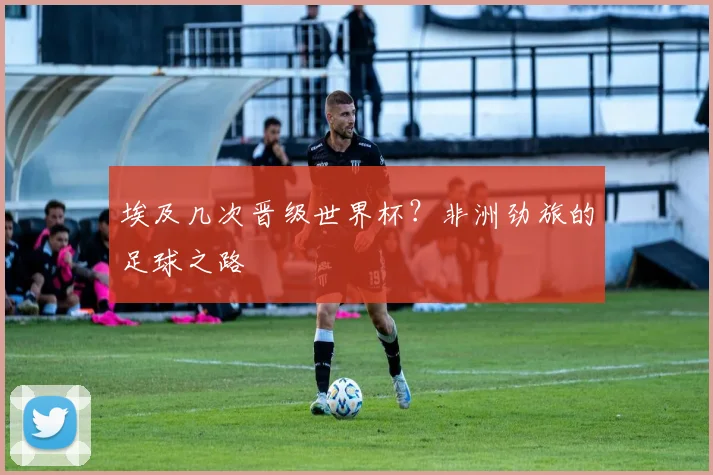 埃及几次晋级世界杯？非洲劲旅的足球之路