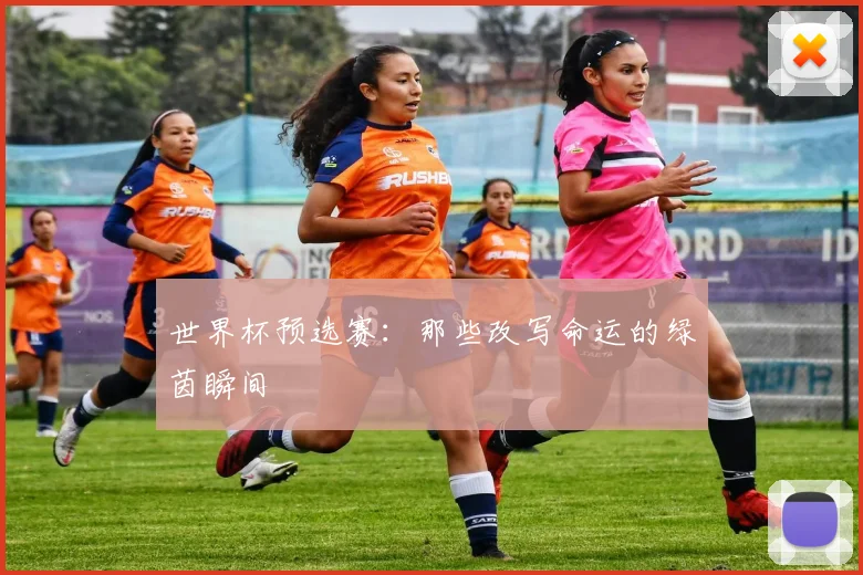 世界杯预选赛：那些改写命运的绿茵瞬间
