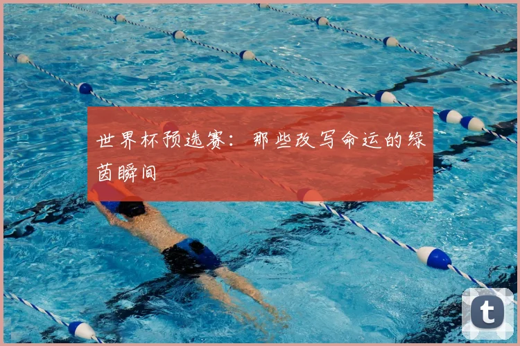世界杯预选赛：那些改写命运的绿茵瞬间