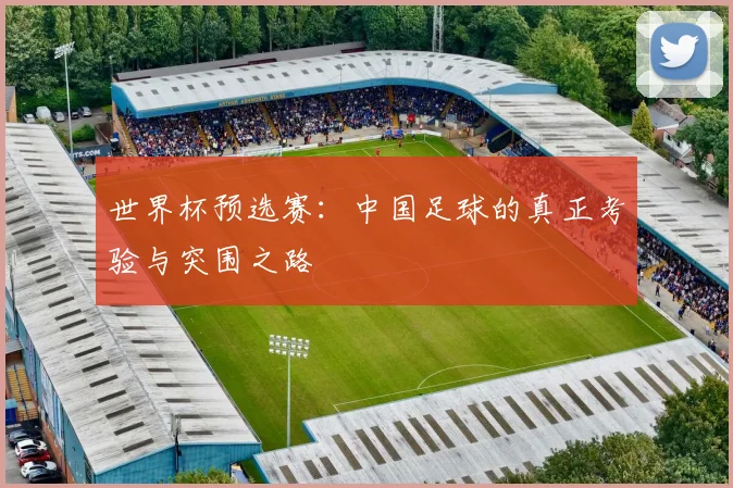 世界杯预选赛：中国足球的真正考验与突围之路