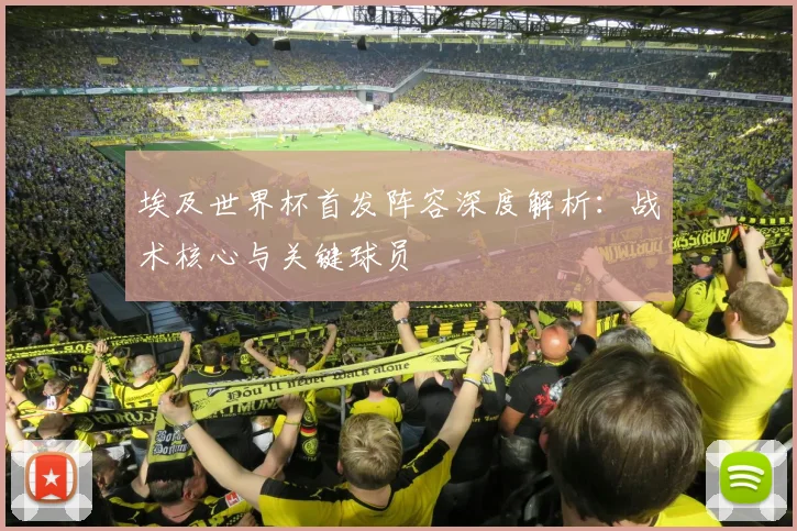 埃及世界杯首发阵容深度解析：战术核心与关键球员