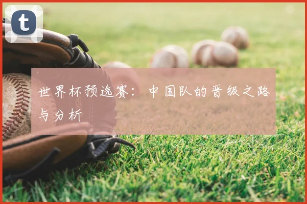 世界杯预选赛：中国队的晋级之路与分析