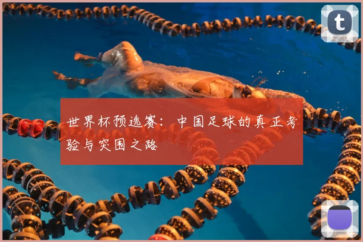 世界杯预选赛：中国足球的真正考验与突围之路
