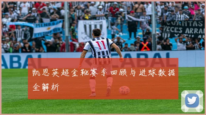 凯恩英超金靴赛季回顾与进球数据全解析