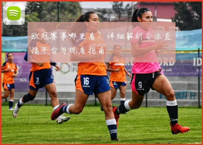 欧冠赛事哪里看?详细解析合法直播平台与观看指南